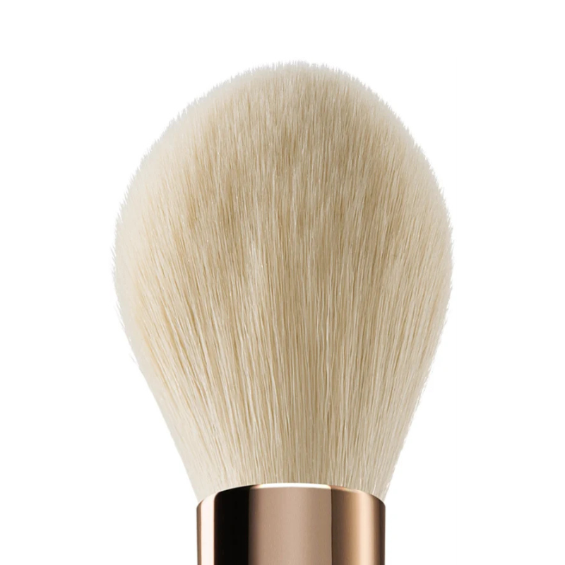 Basic Blush brush - Parfexa