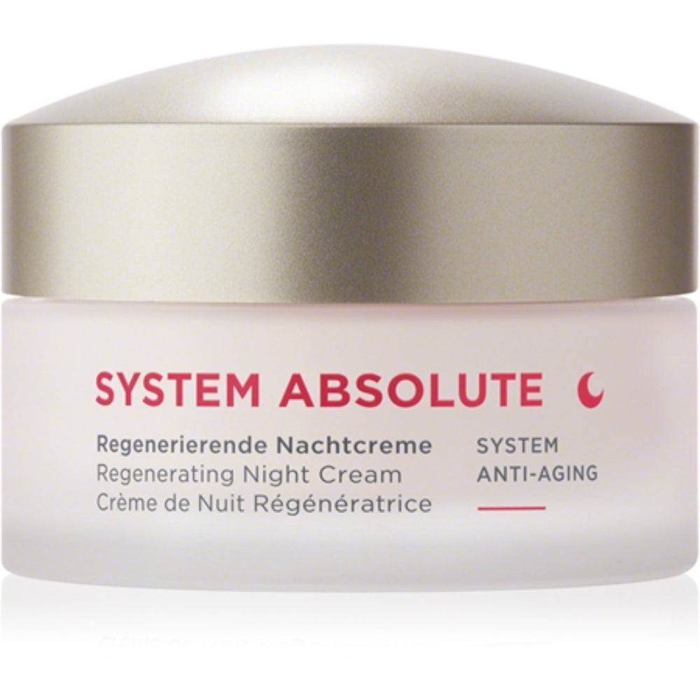 Annemarie Borlind System Absolute Night Cream