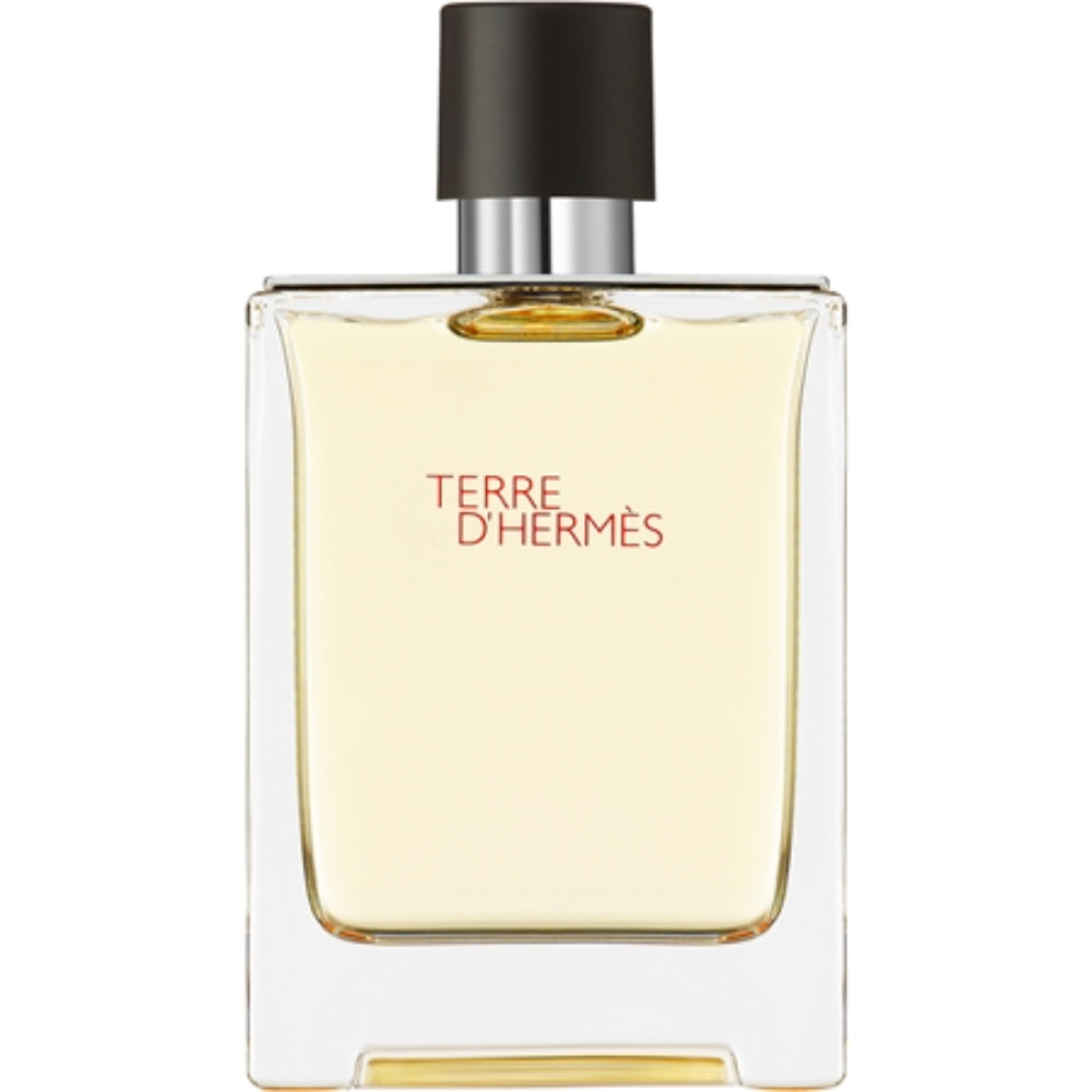 Hermes Terre D'Hermes Edt Spray