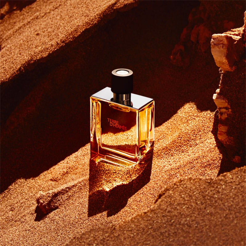 Hermes Terre D'Hermes Parfum Spray